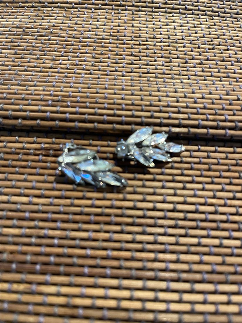Boucles « Feuille d’argent » — ciselée